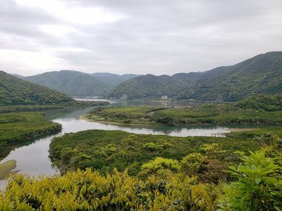 🌳 흑조의 숲 맹그로브 파크 휴게소 아마미오시마 스미요(쿠로시오노모리 만구로브파쿠 미치노에키 아마미오시마 스미요) 이미지 2